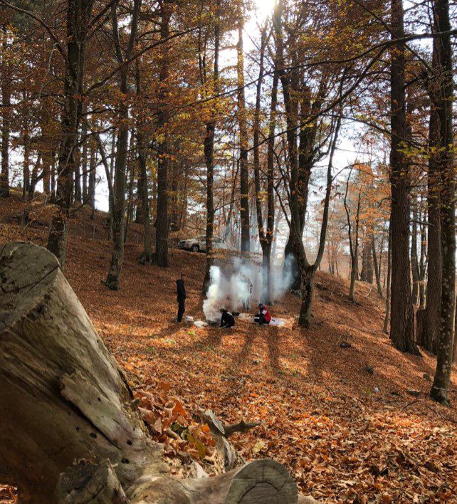 Qafshtama National Park, Albanien - Zauberhafter Wald